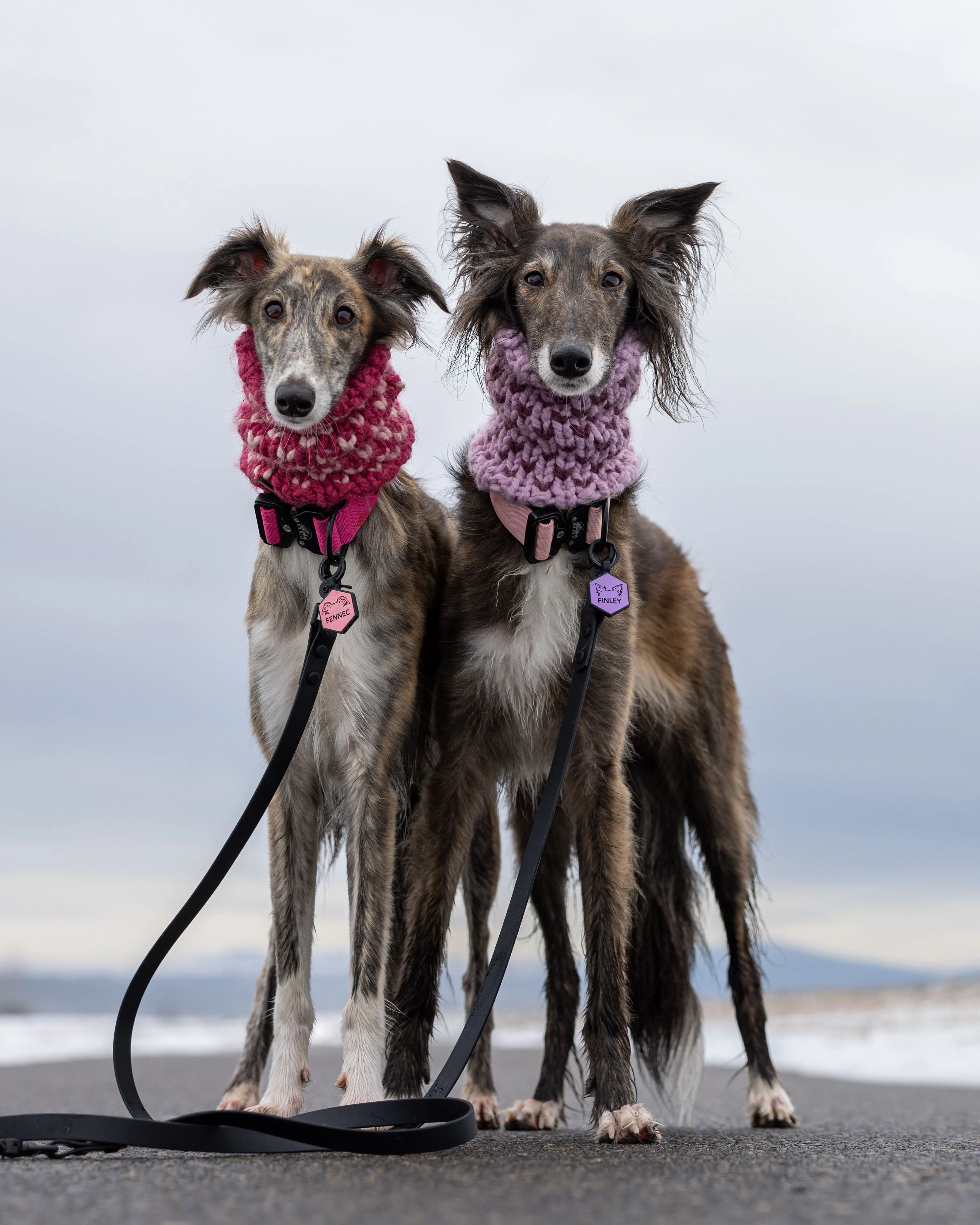 Waterproof Two Dog Leash / Two Dog Leash Splitter | Built with BioThane®