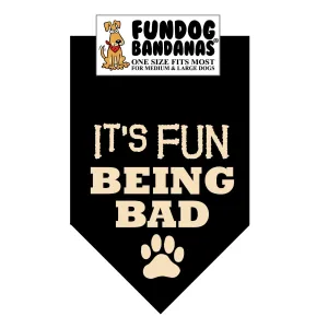 Wholesale Pack - It's FUN being BAD - Assorted Colors