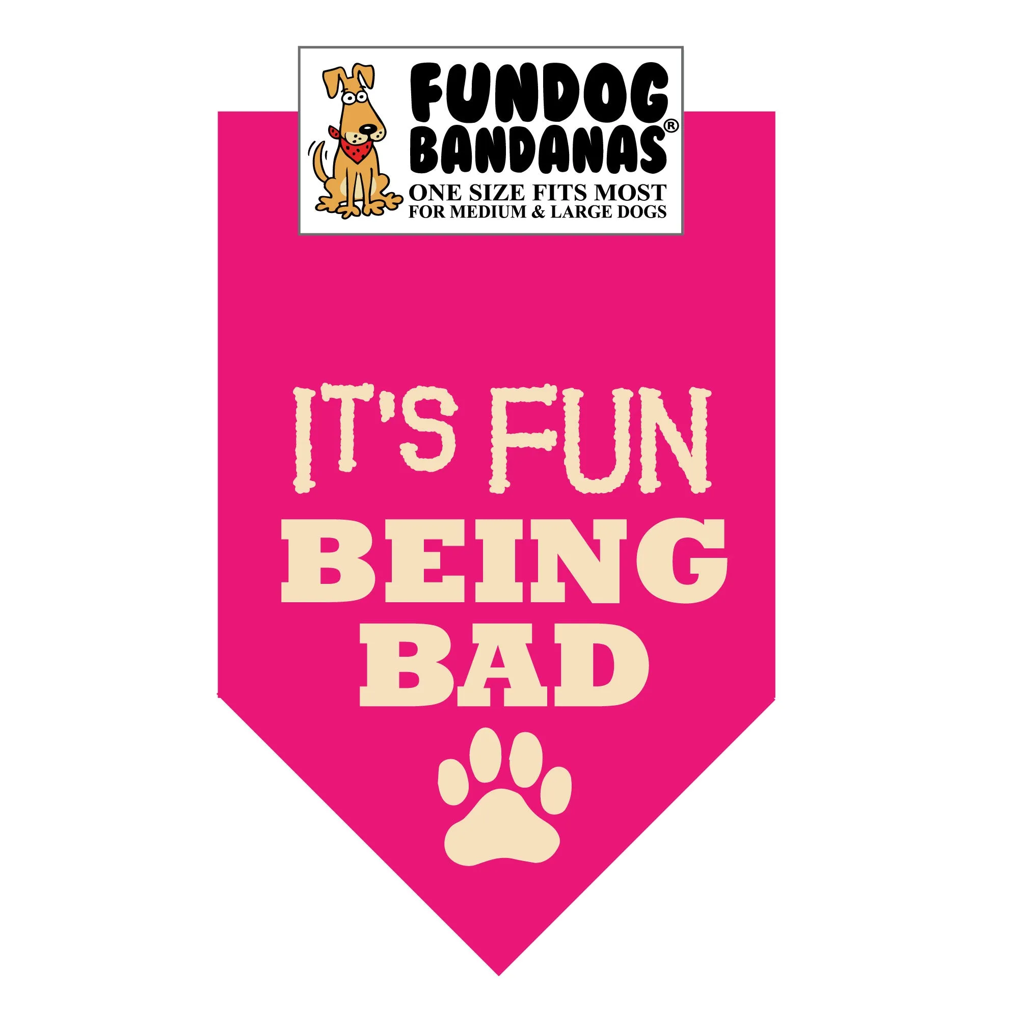 Wholesale Pack - It's FUN being BAD - Assorted Colors