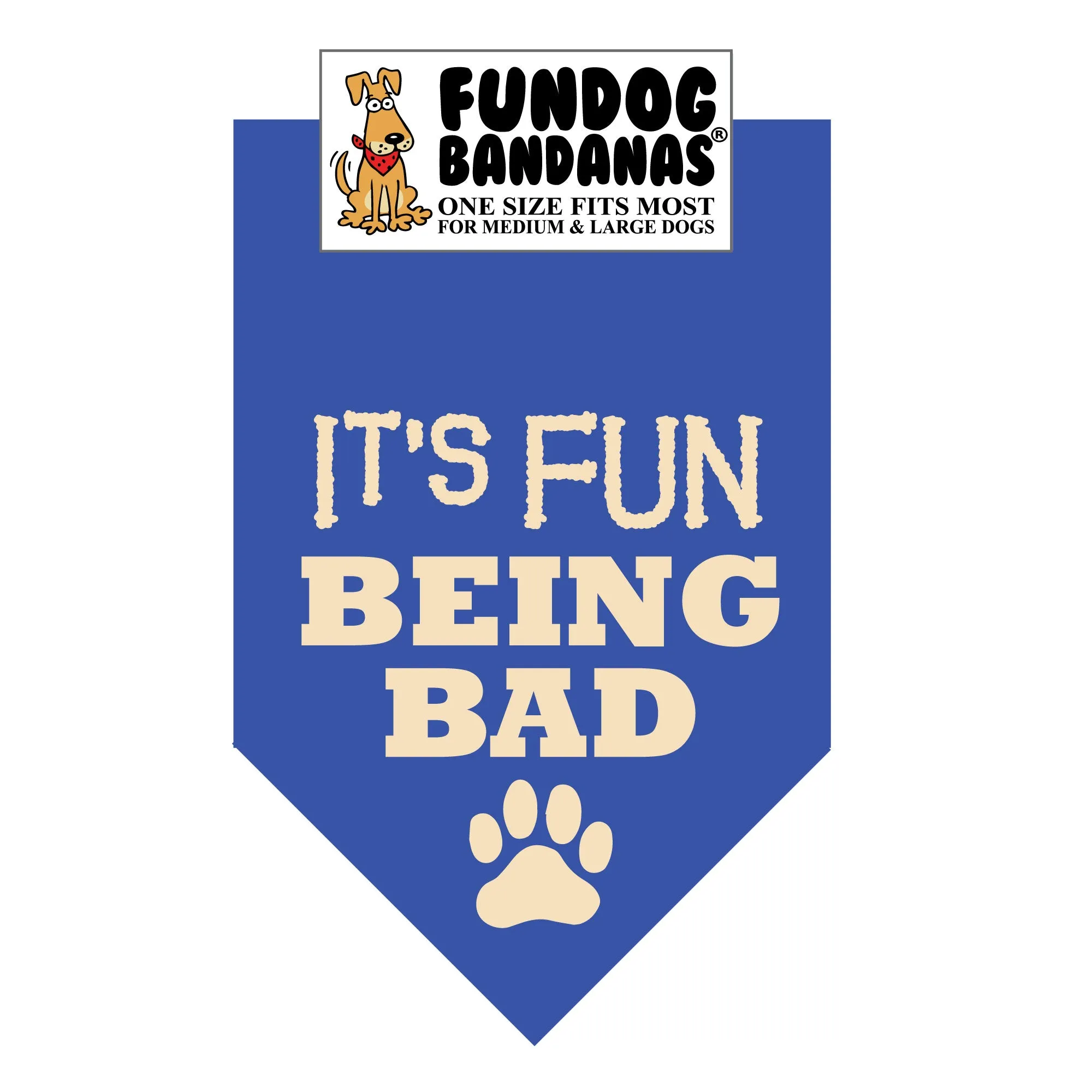 Wholesale Pack - It's FUN being BAD - Assorted Colors