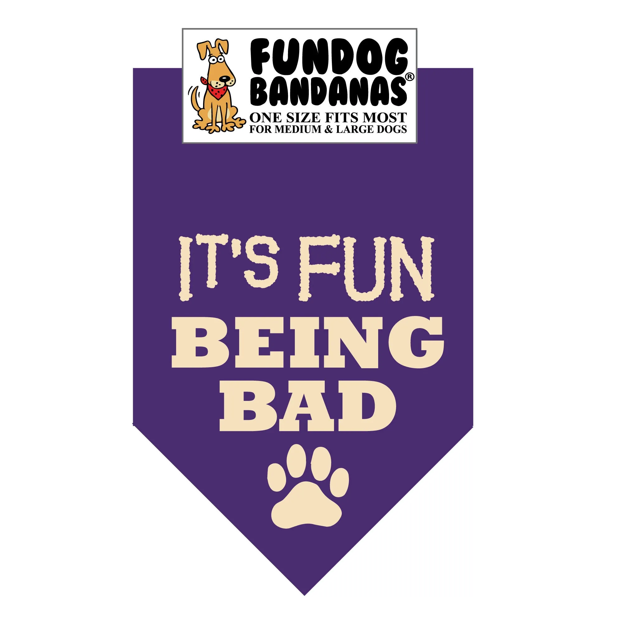 Wholesale Pack - It's FUN being BAD - Assorted Colors
