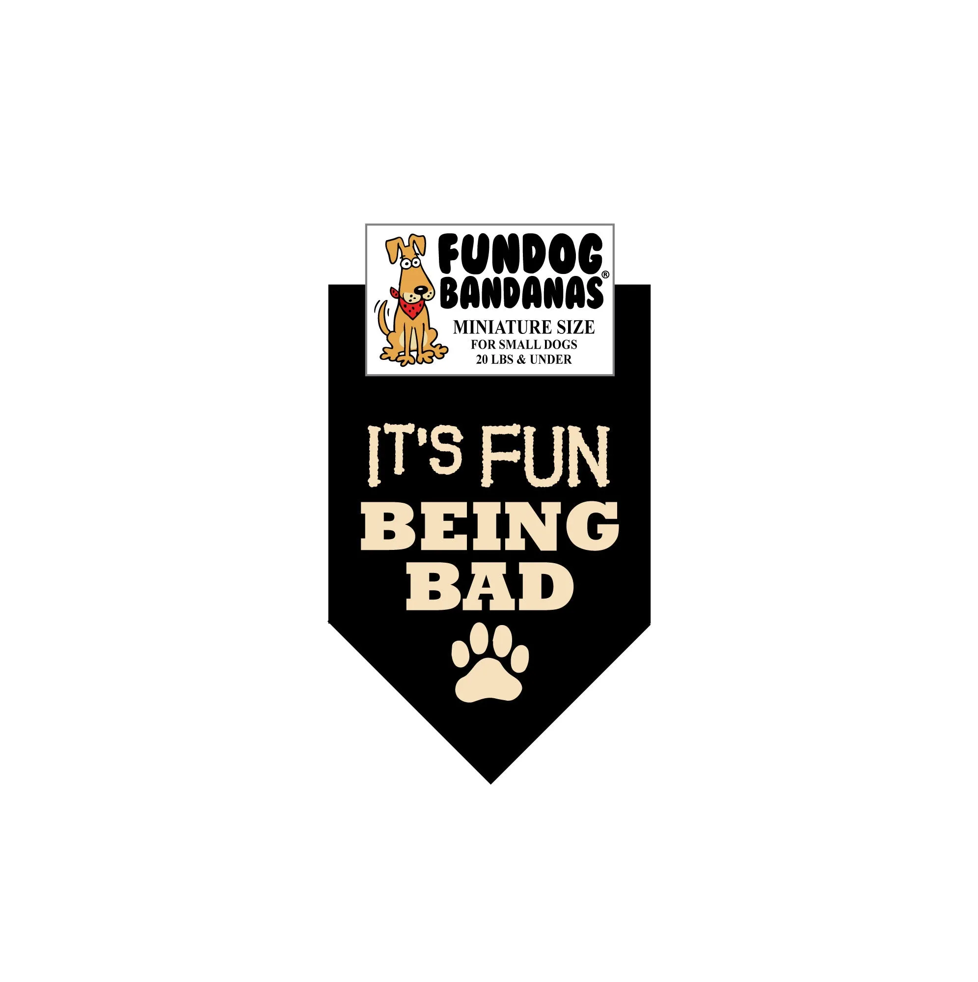 Wholesale Pack - It's FUN being BAD - Assorted Colors