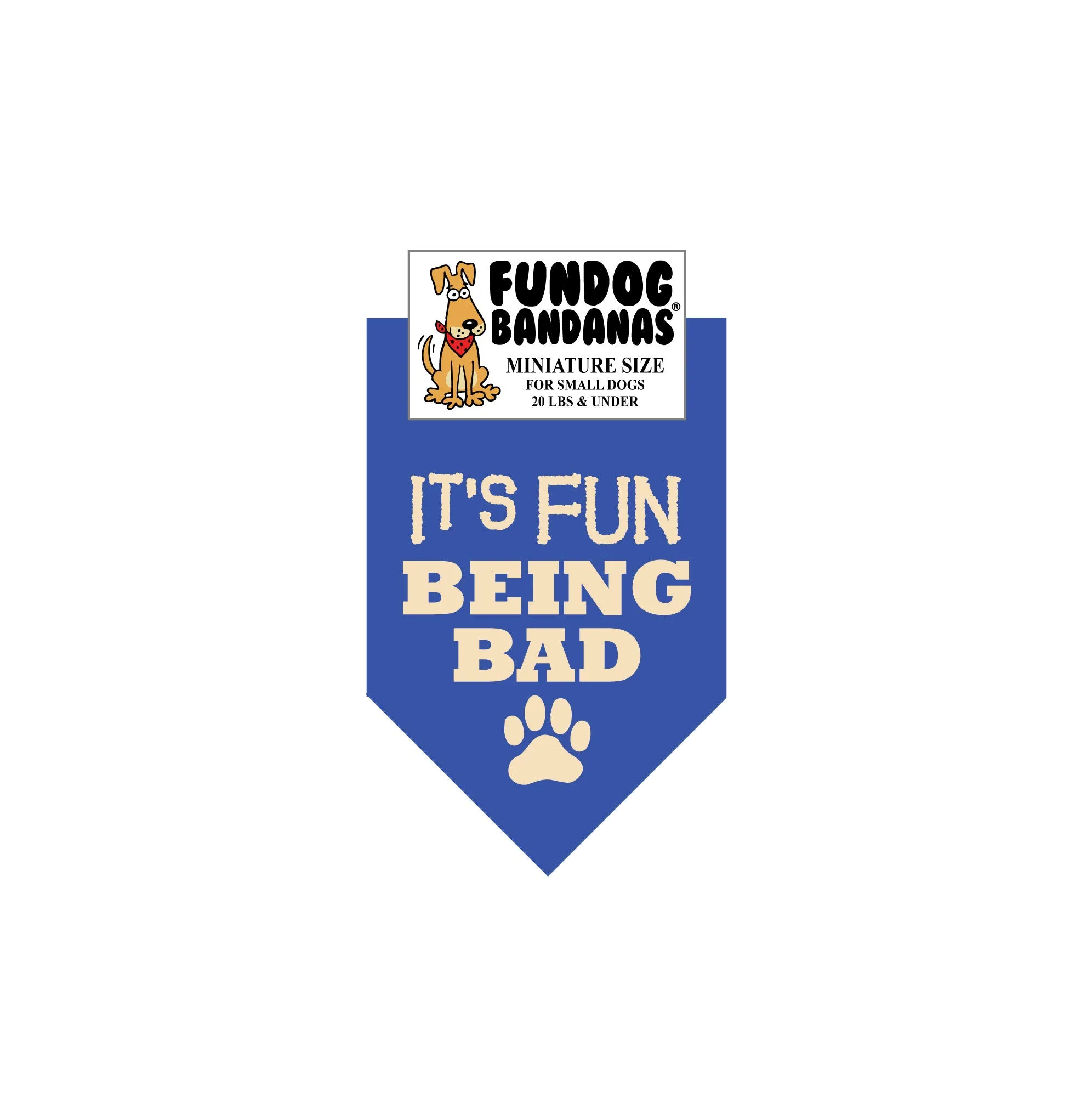 Wholesale Pack - It's FUN being BAD - Assorted Colors